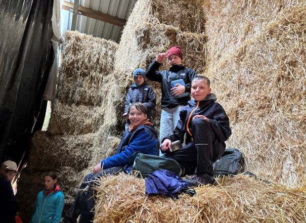 Wir sind ein Team bild 7